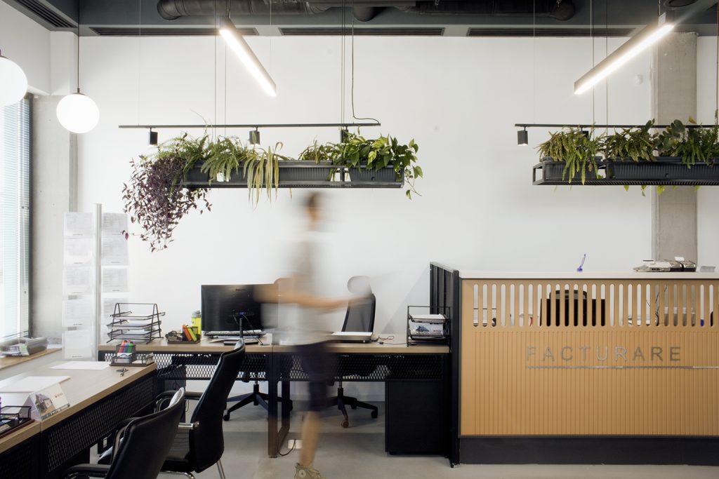 amenajare zona facturare showroom eurotigla cu birouri open space iluminat modern si organizare functionala a interactiunii cu clientii
